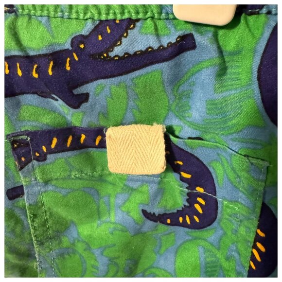 Plaid Fish Size 7 Kids Swim Trunks / Bottoms / Shorts - Alligators / Crocodiles - Picture 7 of 8